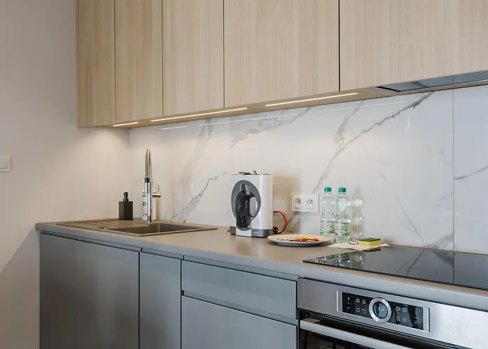 Wilda Chic By Bookinghost 포즈난